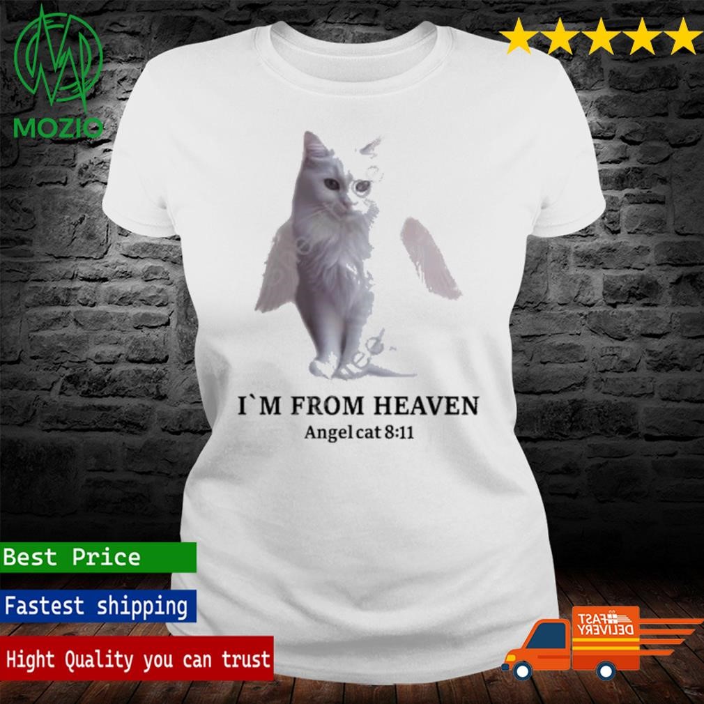 Official itzavibe Merch Angel Cat T-Shirt, hoodie, sweater, long 