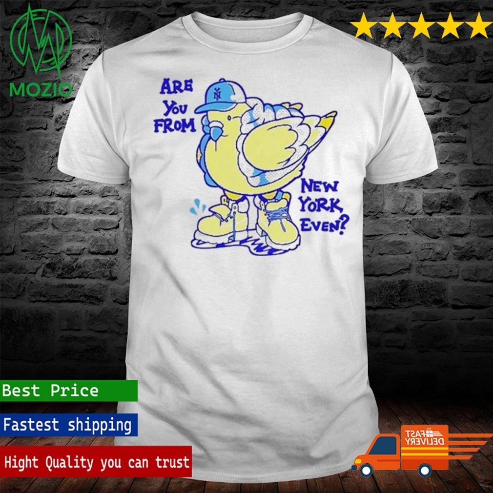 Big Puffa Pigeon Are You From New York Even T Shirt
